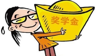 申請獎學金的論文要求見刊嗎