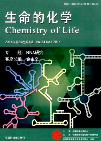 案例教學法在肝臟生物化學教學中的應用