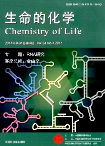 幽門螺桿菌相關胃癌與多胺代謝