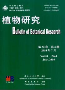不同損傷條件下沙柳直根力學特性的自修復差異