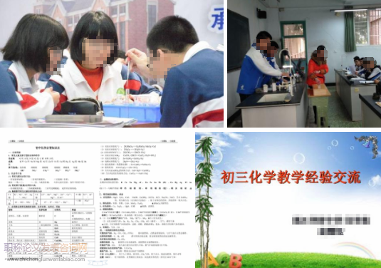 初中化學(xué)教學(xué)中探究實驗的應(yīng)用