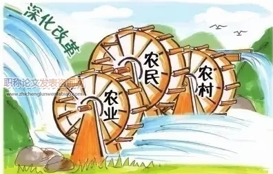 中國農(nóng)村經(jīng)濟發(fā)展存在的問題