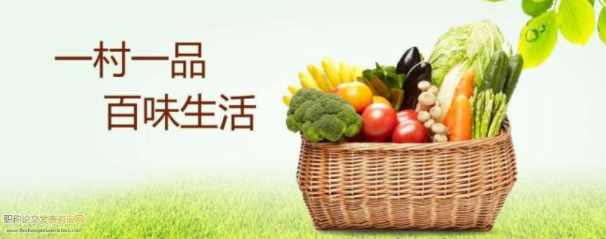 中國化的“一村一品”發展模式研究