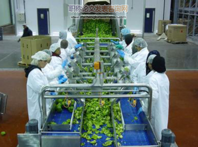 防范財務風險強化中小農產品加工企業經營能力
