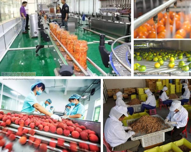 德州市農產品加工企業融資問題研究