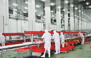 關于農產品加工企業科技人才的英語水平提高策略研究