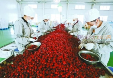 基于系統動力學的山西省農產品加工產業集群研究