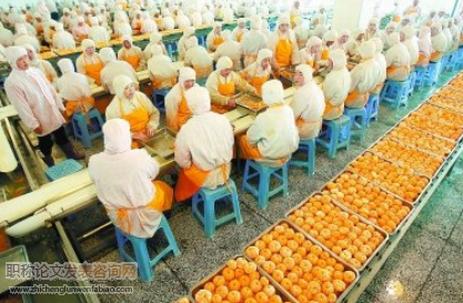 基于四屬性的現代農產品加工模式構建及評價