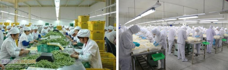 基于社含責任共擔的農產品加工企業營銷策略研究