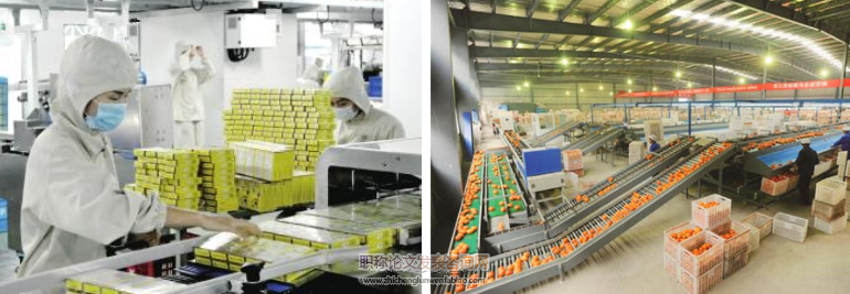 略論河南省農產品加工與農業大省的“升華”