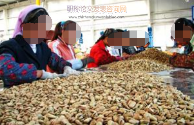農產品加工企業物流系統應急反應倡議動態能力構建研究