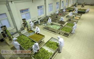 農副產品加工企業粉塵防爆安全隱患分析及整治措施