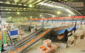 農產品加工廢棄物的生態循環利用