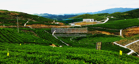 農(nóng)村中職專業(yè)拓展與云南生態(tài)農(nóng)村建設的思考