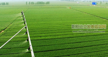 河西走廊涼州綠色農業示范區環境質量評價