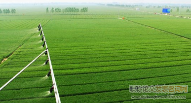 杭州市臨安區潛川鎮生態循環農業發展及對策研究