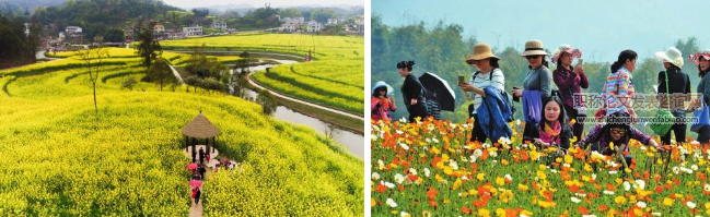 當前我國鄉村旅游發展存在的問題