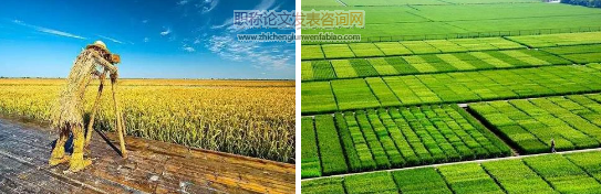 基于GPI指標(biāo)的四川省農(nóng)業(yè)可持續(xù)發(fā)展水平研究