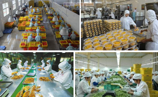 我國(guó)農(nóng)產(chǎn)品加工廢棄物的類型及主要利用途徑
