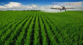 生態農業法治建設研究