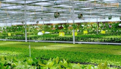 天津市生態農業建設規劃實施效果測評