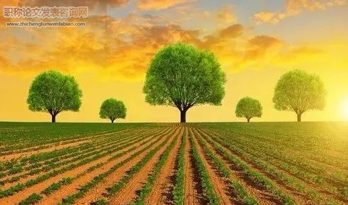 沼澤濕地生物碳匯擴增與碳匯型生態農業利用模式