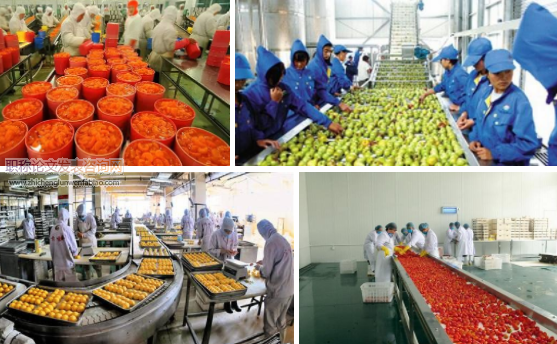 中小微農產品加工企業HACCP人才公益性培育的研究