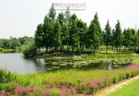 植物保護新技術在生態農業中的應用