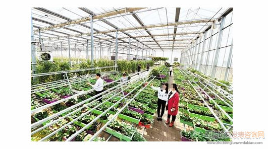“互聯網+”背景下傳統農業向智慧農業轉型路徑研究