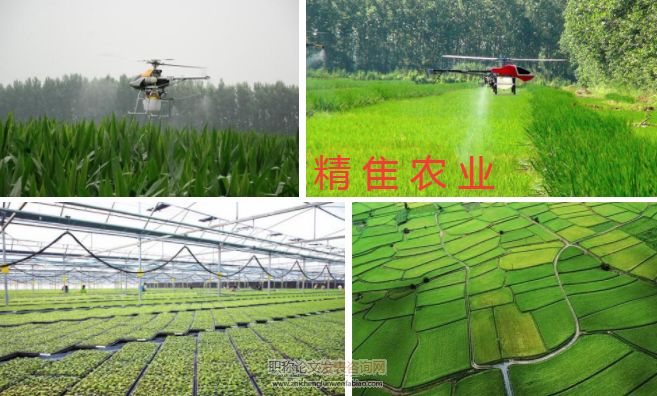 基于物聯(lián)網(wǎng)的精準農(nóng)業(yè)果蔬種植預警系統(tǒng)