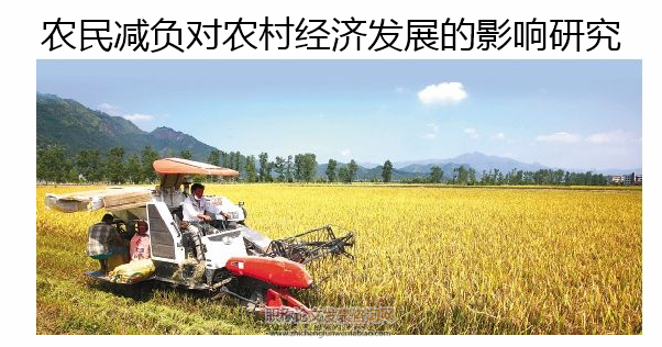 農民減負對農村經濟發展的影響研究