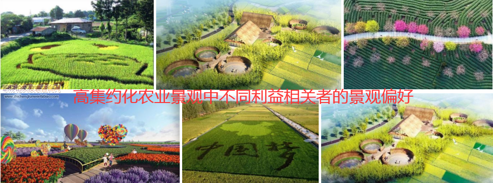 高集約化農業景觀中不同利益相關者的景觀偏好