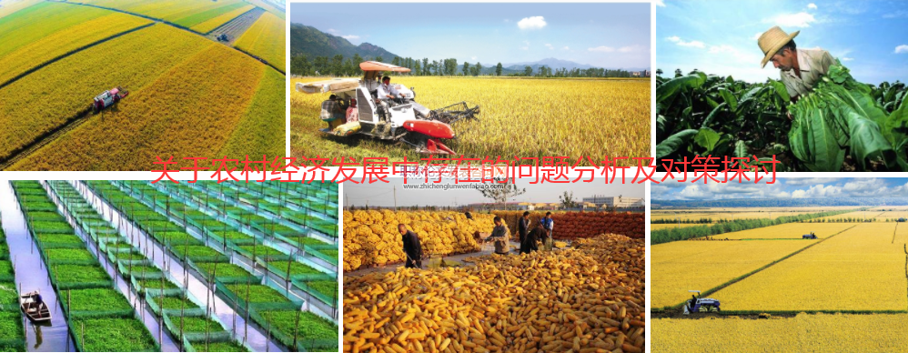 關于農村經濟發展中存在的問題分析及對策探討