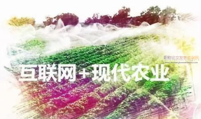 “互聯網+農業”在農產品電子商務發展的制約因素與建議