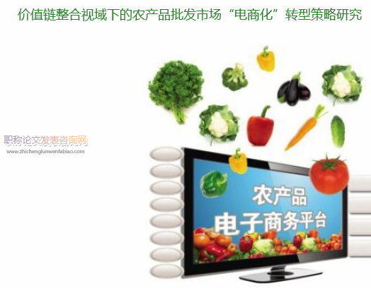 價值鏈整合視域下的農(nóng)產(chǎn)品批發(fā)市場“電商化”轉型策略研究