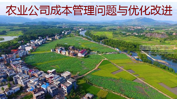 農(nóng)業(yè)公司成本管理問(wèn)題與優(yōu)化改進(jìn)