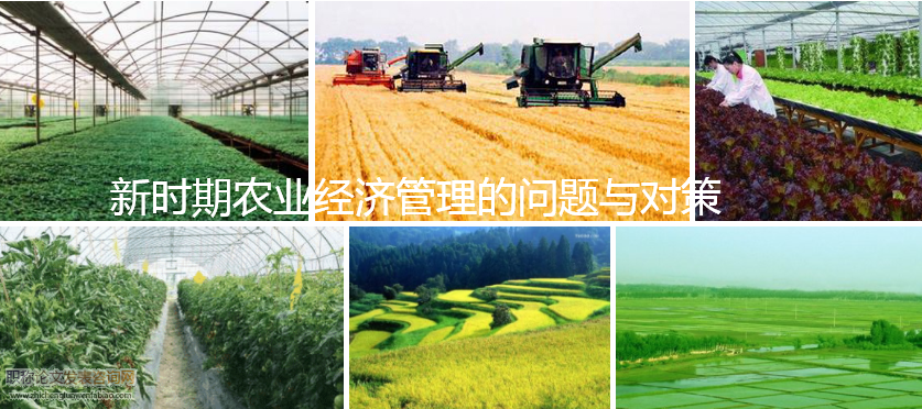 新時期農業經濟管理的問題與對策