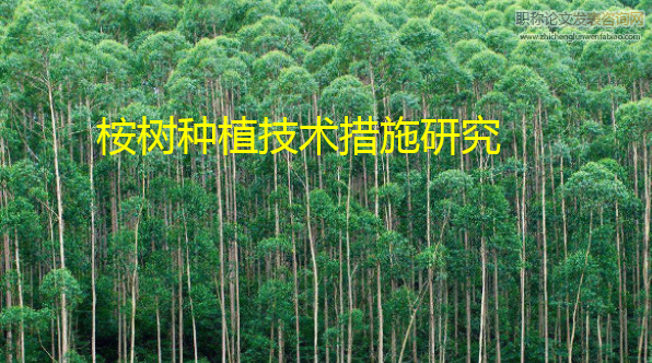 桉樹種植技術措施研究