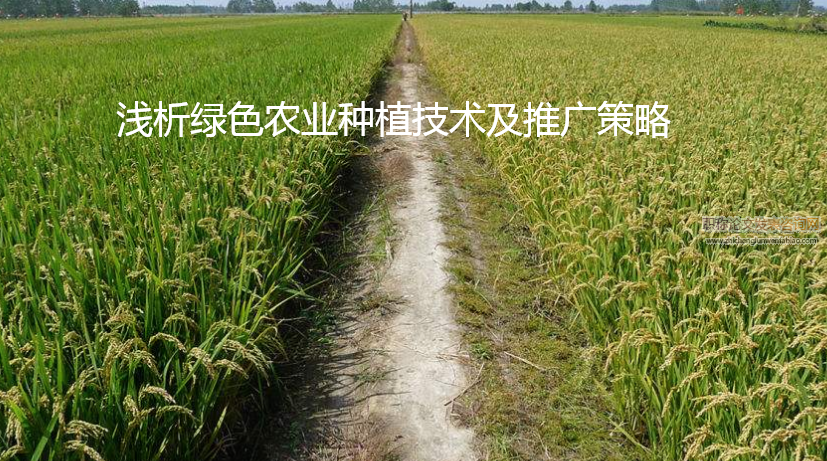 淺析綠色農業種植技術及推廣策略