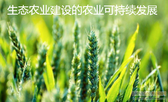 生態農業建設的農業可持續發展