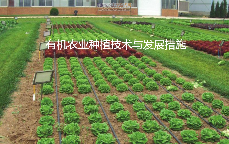 有機農業種植技術與發展措施