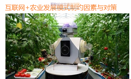 互聯網+農業發展模式制約因素與對策