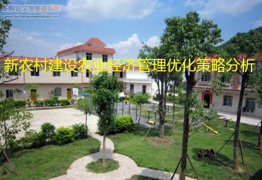 新農村建設農業經濟管理優化策略分析