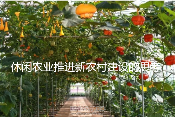 休閑農業推進新農村建設的思考