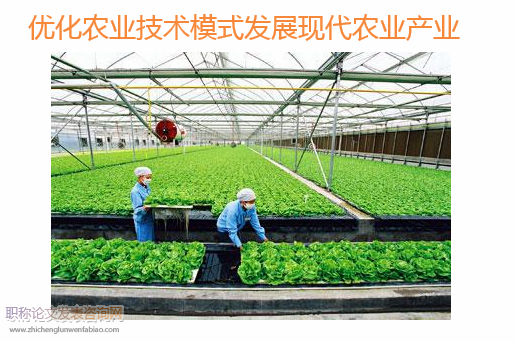 優化農業技術模式發展現代農業產業