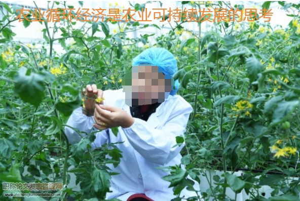農(nóng)業(yè)循環(huán)經(jīng)濟是農(nóng)業(yè)可持續(xù)發(fā)展的思考