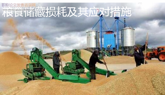 糧食儲藏損耗及其應對措施