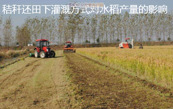 秸稈還田下灌溉方式對水稻產量的影響