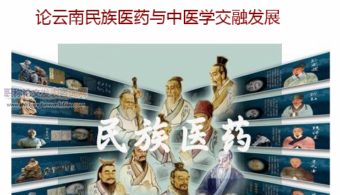 論云南民族醫藥與中醫學交融發展