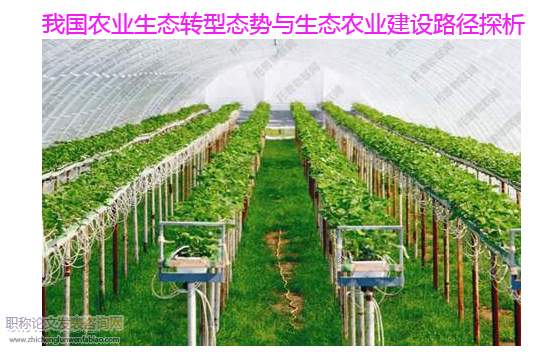 我國農業生態轉型態勢與生態農業建設路徑探析